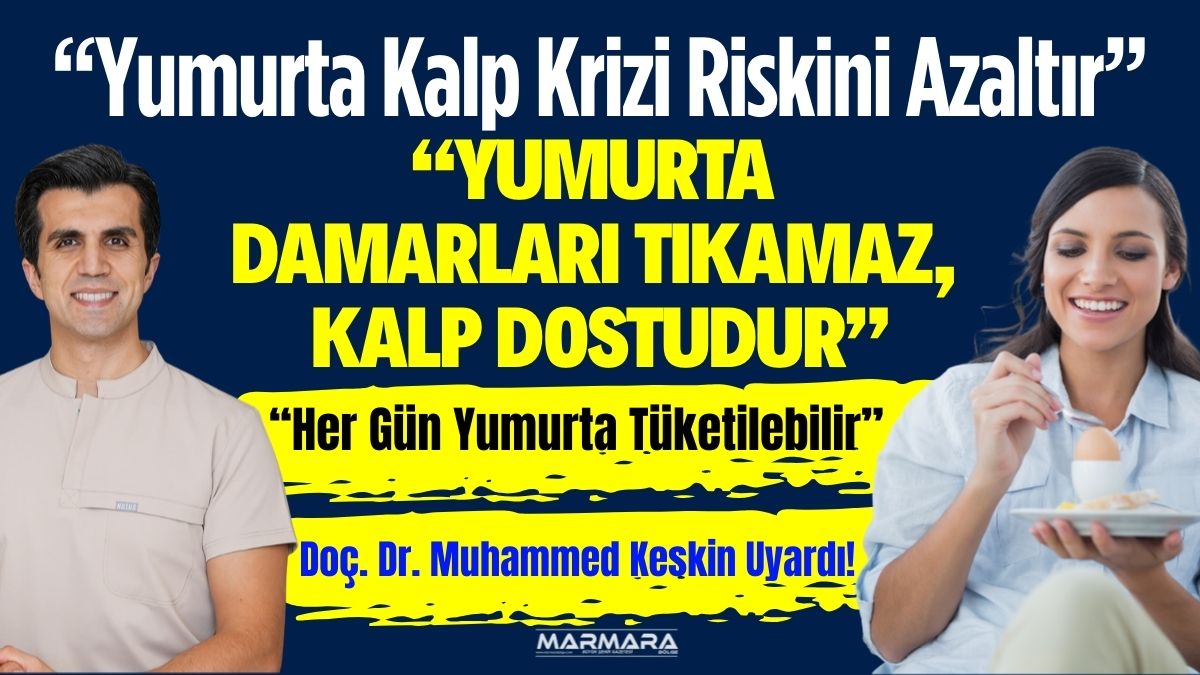 Yıllarca kolesterolle anılan yumurtanın, sanılanın aksine kalp ve damar sağlığını