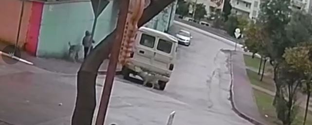 Kurt Köpekleri Böyle Saldırdı Ekran Alintisi 4 - Marmara Bölge Gazetesi