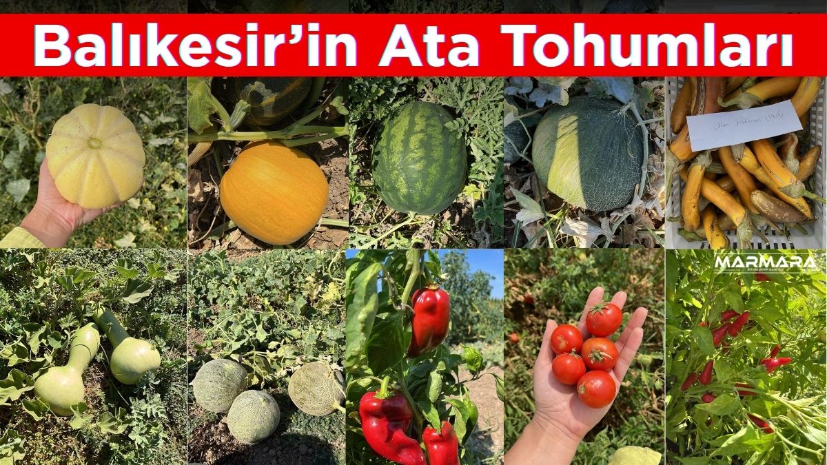 Balıkesir Büyükşehir Belediyesi bünyesinde faaliyet gösteren BAÇEM (Çiftçi Eğitim Merkezi),
