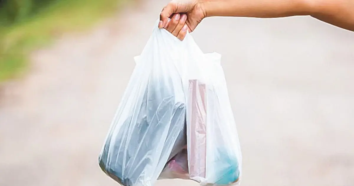Market Poşetlerine Zam Geldi: 2026’da Fiyat 1 TL Oldu! plastik poset BZi4 cover 844514.webp - Marmara Bölge Gazetesi