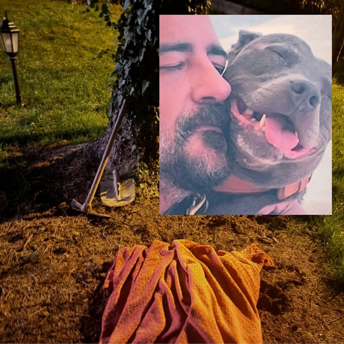 Celil Nalçakan'dan 14 Yaşında Vefat Eden Köpeğine Dokunaklı Veda s 8088b738902092d09e6716eae2f01de1cb9844a4 - Marmara Bölge Gazetesi