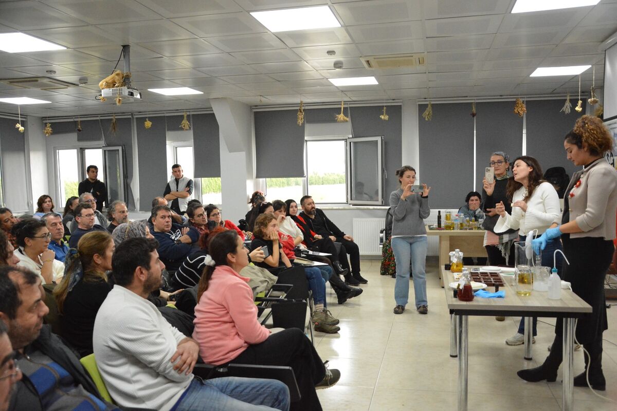 Zeytin Üretiminde Yeni Dönem 0bd9e838 d173 420b 82c4 a3cb67abcf00 - Marmara Bölge Gazetesi