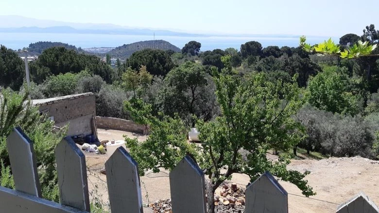 Edremit’te Nereye Gidilir? Hafta Sonu İçin En Güzel Rotalar 1 18 - Marmara Bölge Gazetesi