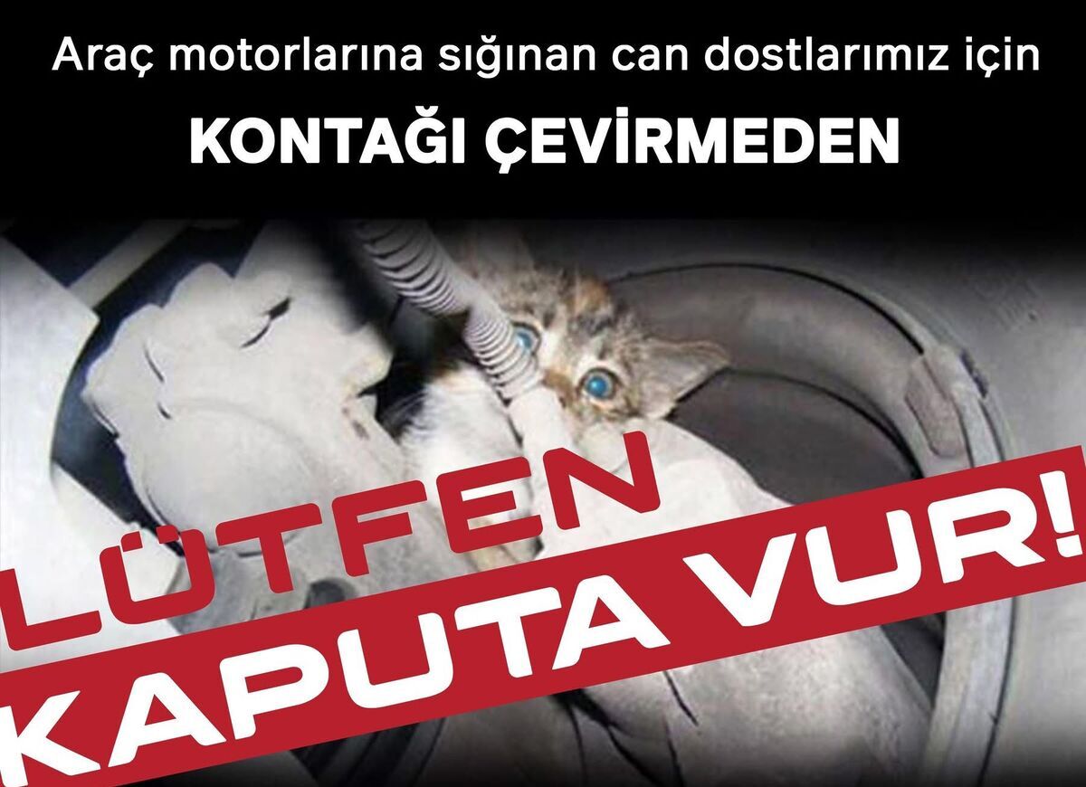 Edremit’ten Hayati Uyarı! 41bb6f05 03df 4865 8a39 33c4fc7c3a72 e1771079350849 - Marmara Bölge Gazetesi