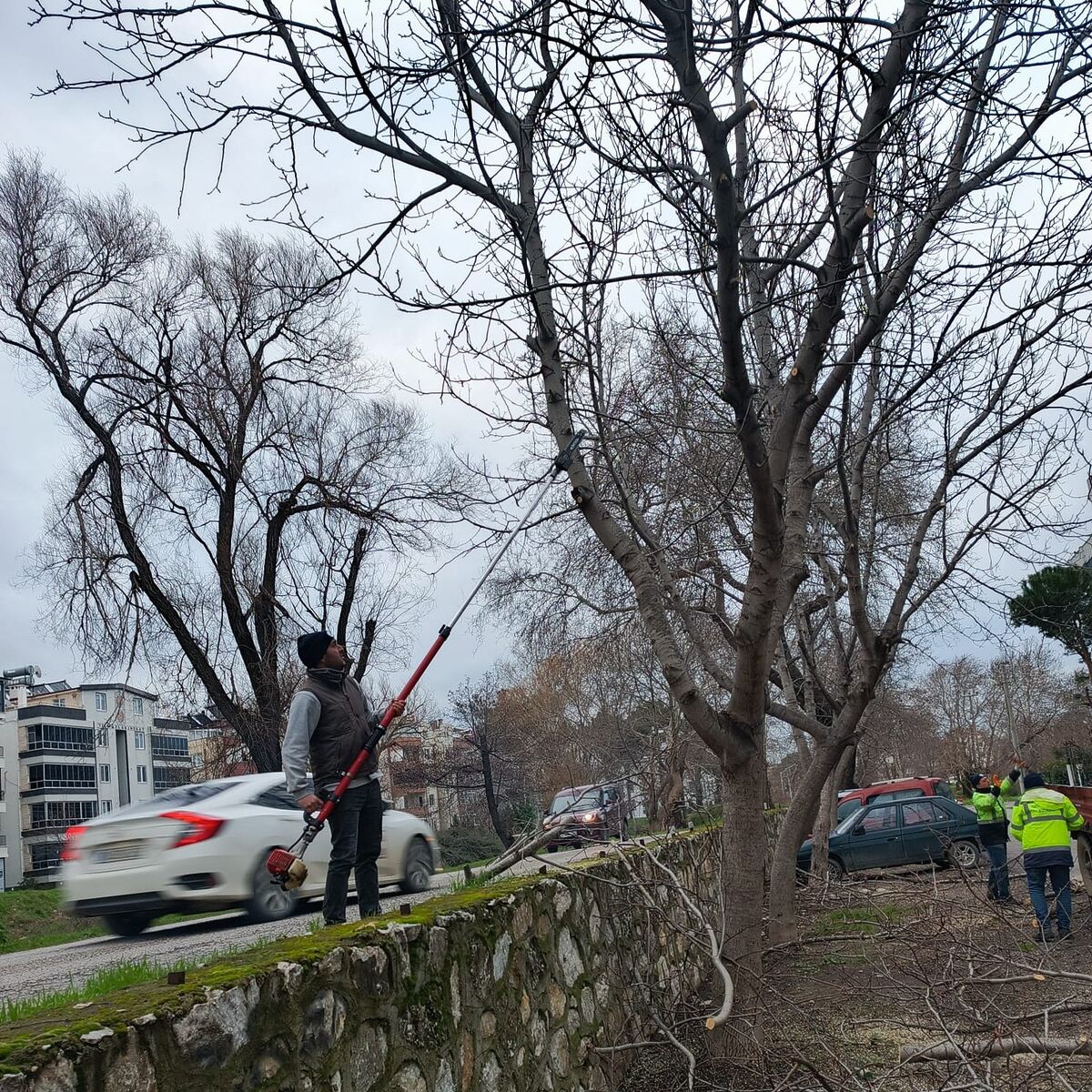630317460 912906207767072 1916207588177160965 n - Marmara Bölge Gazetesi