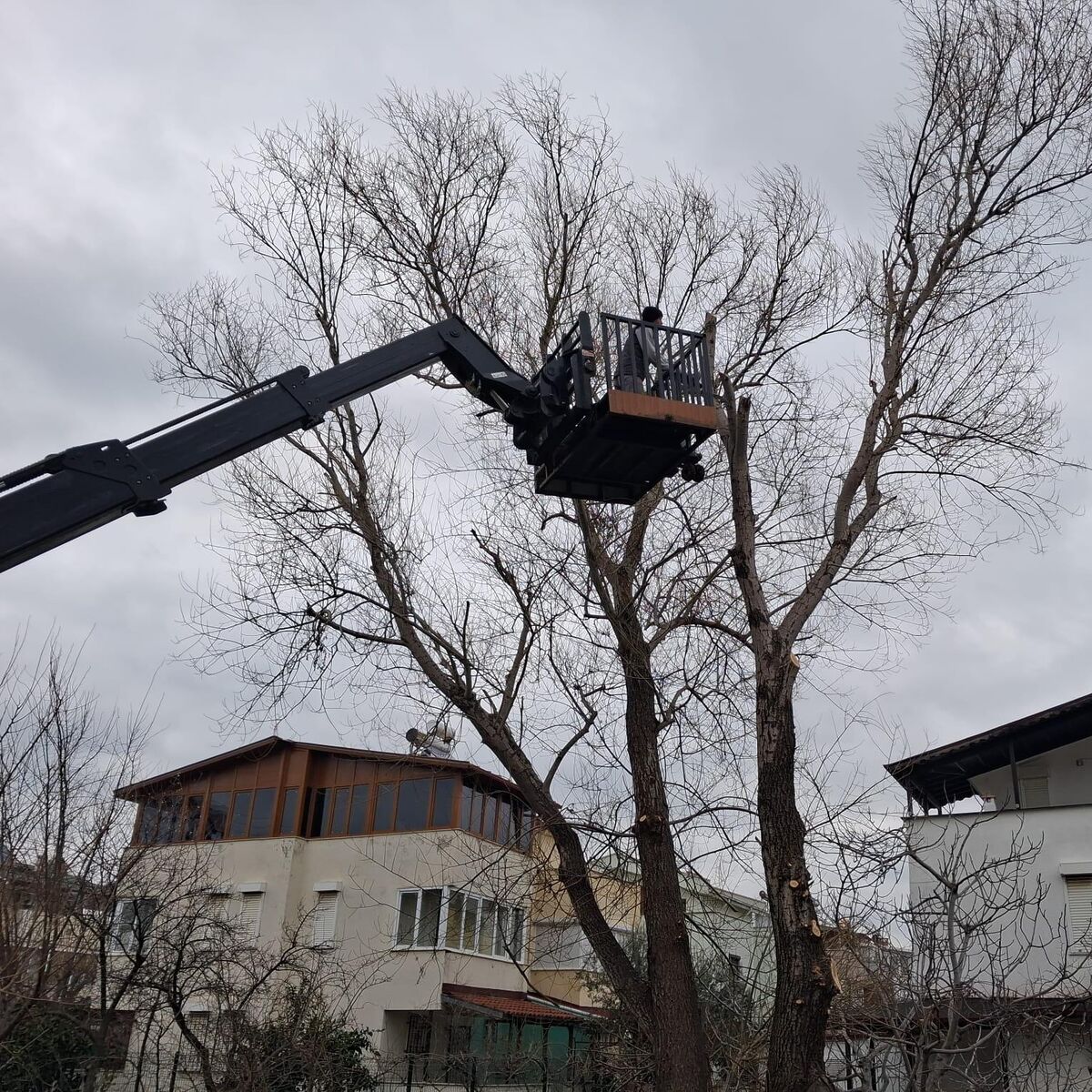 Edremit’te Değişim Kendini Hissettirdi! 632608145 912906141100412 5201438621547056706 n - Marmara Bölge Gazetesi