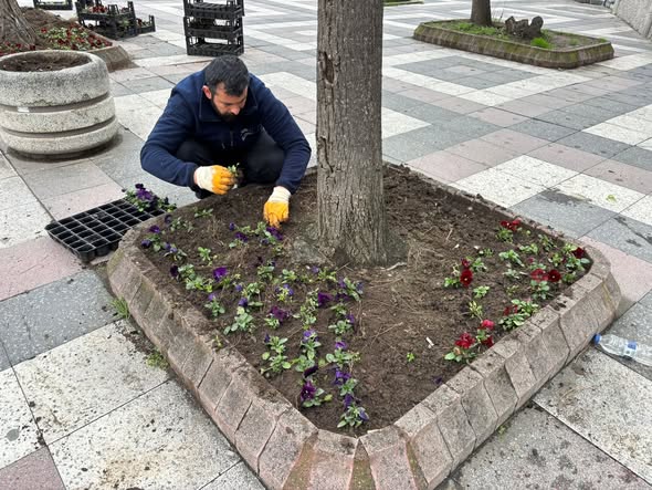 637523063 1496033699192499 7567497375582561565 n - Marmara Bölge Gazetesi