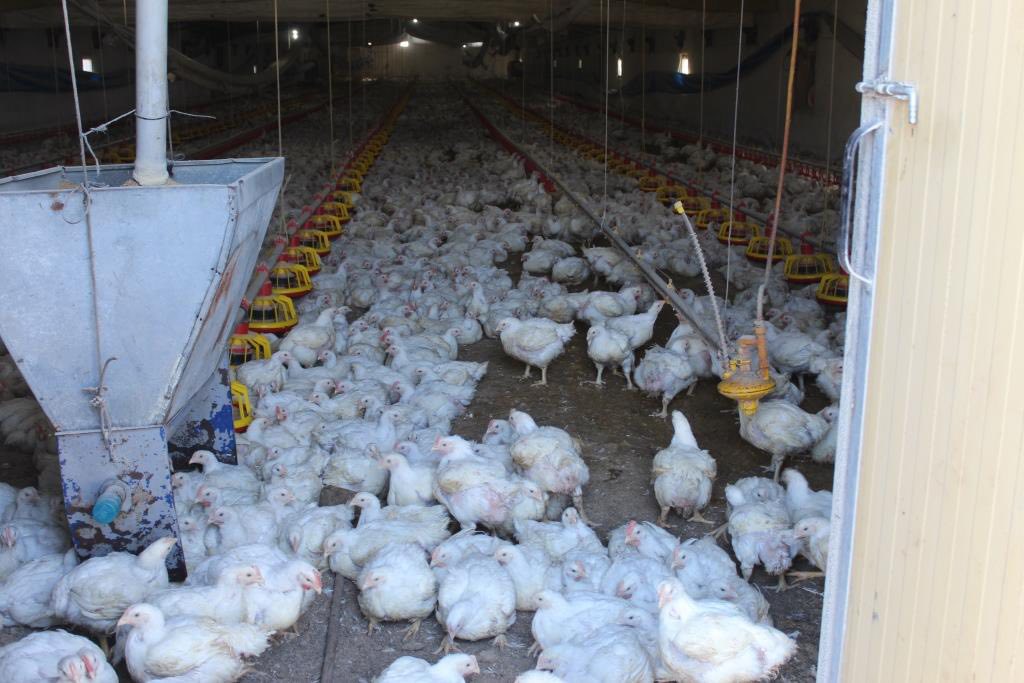 Balıkesir’de Kırsal Kalkınma Yatırımlarının Desteklenmesi Programı kapsamında hayata geçirilen GES
