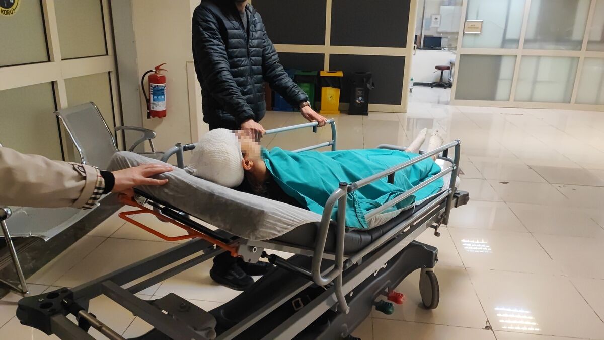 Ekmek Almaya Gitti Köpeklere Yem Oldu! AW642740 03 - Marmara Bölge Gazetesi