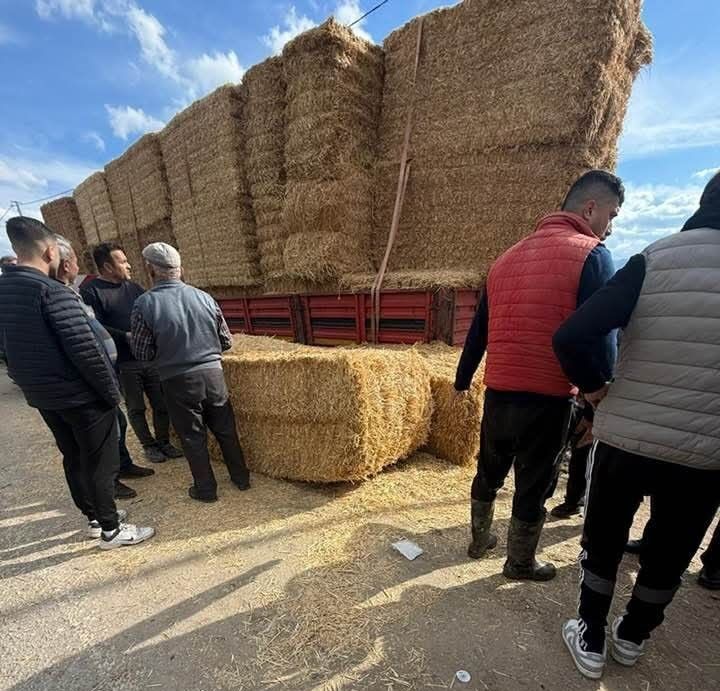 Yolda Yürürken Tırdan Devrilen Saman Balyaları Altında Can Verdi AW646915 03 e1771668232821 - Marmara Bölge Gazetesi