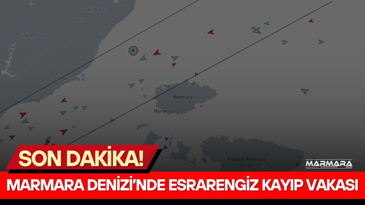 Marmara Denizi’nde seyir halindeki bir ticari gemiden denize atladığı öne