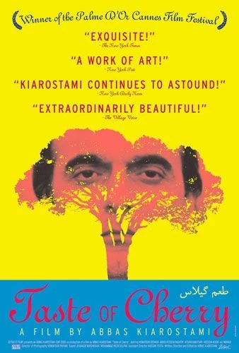İran Sinemasının En Sarsıcı 5 Unutulmaz Filmi Kirazin Tadi - Marmara Bölge Gazetesi