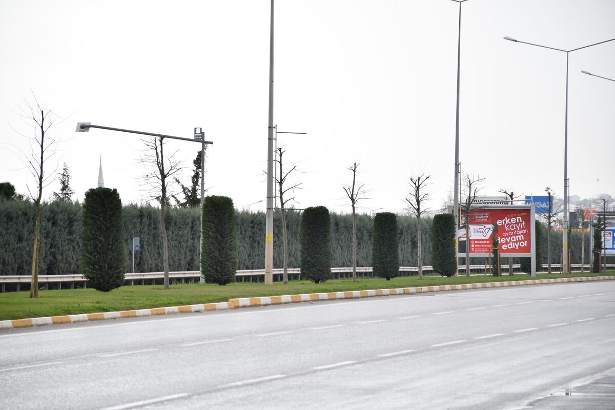 Balıkesir’de 20 İlçede Peyzaj Çalışmaları Aralıksız Sürüyor a54c06c6 6ca4 453d ac44 753692fea01e - Marmara Bölge Gazetesi