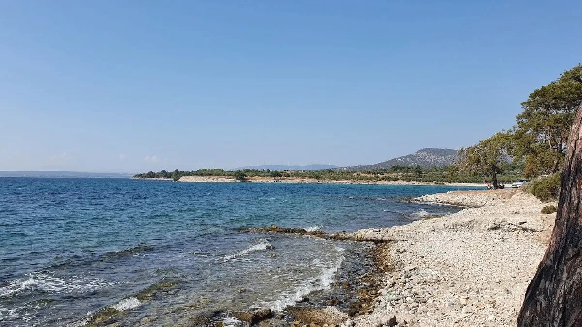 Alternatif Arayanların Yeni Adresi Altın Kum, Cam Gibi Deniz filiz koyu 2 1 - Marmara Bölge Gazetesi