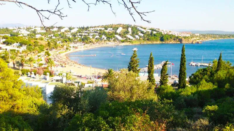 Balıkesir’in Ayvalık ilçesine bağlı Altınova Mahallesi’nde konumlanan Altınova Sahili, yaz