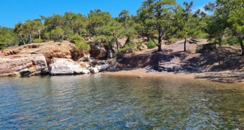Cunda Adası’nın saklı güzelliklerinden Ortunç Koyu, berrak denizi ve doğayla