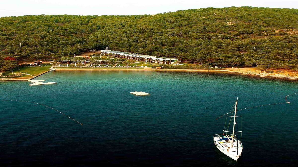 Bu Koyun Doğası Görenleri Hayran Bırakıyor ortunc koyu.location.mg6kw9ta4h6k - Marmara Bölge Gazetesi