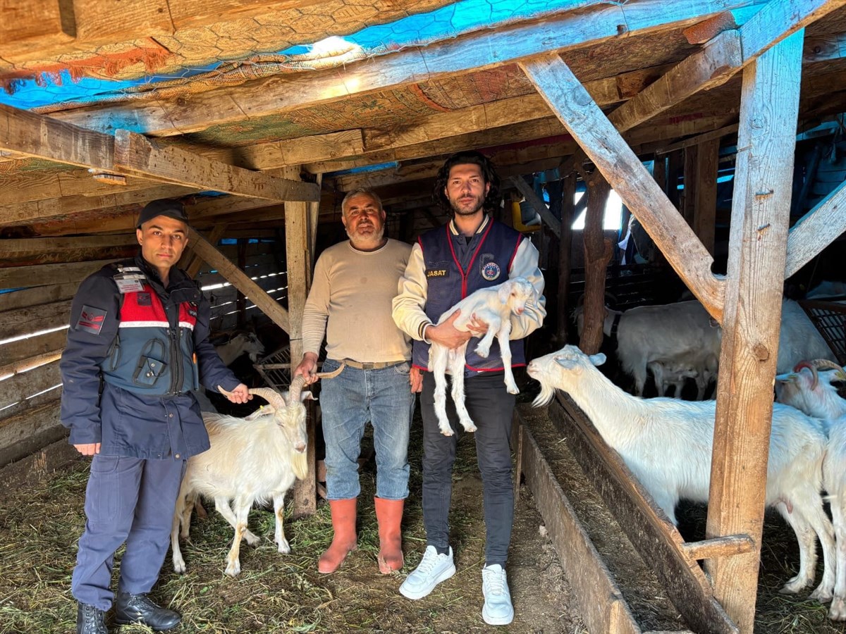 Balıkesir’de 50 Adet Küçükbaş Hayvan Kayboldu! 1 - Marmara Bölge Gazetesi