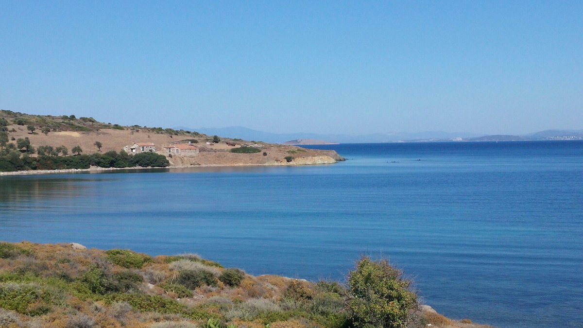 Cunda Adası’nın saklı köşelerinden biri olan Patriçya Koyu, doğallığını koruyan