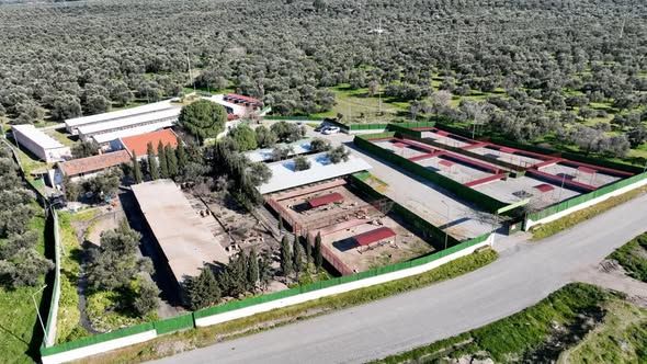 Burhaniye Belediyesi, sahipsiz sokak hayvanlarını güvenli ve sağlıklı yaşam alanlarıyla