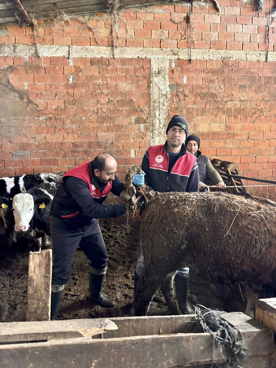 Hayvan Hastalıklarına Karşı Alarm! 648222405 1332055698965289 3842292103591237391 n - Marmara Bölge Gazetesi