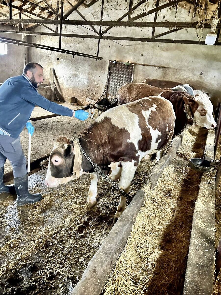 Hayvan Hastalıklarına Karşı Alarm! 648296517 1332055658965293 860726870928497718 n - Marmara Bölge Gazetesi