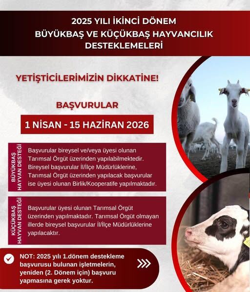 SON DAKİKA: Hayvancılık Destekleri Başvuruları Yarın Başlıyor! 660297152 1352732183564307 6136034409583726784 n e1774968387121 - Marmara Bölge Gazetesi