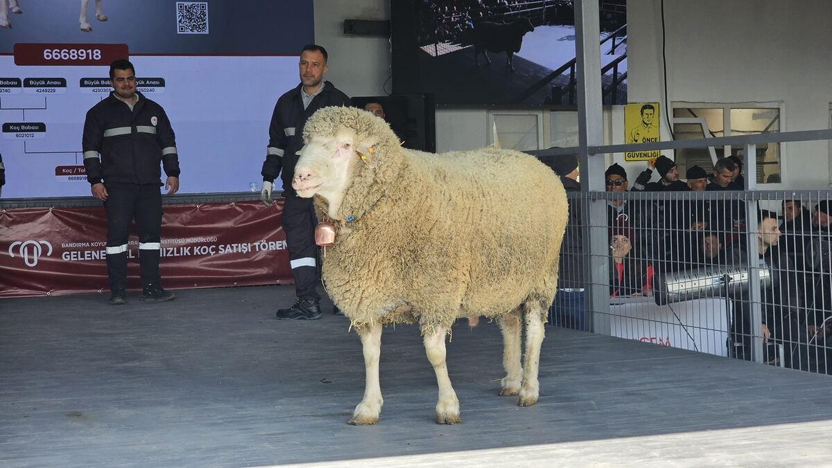 1 Milyon 110 Bin Liralık Koç AW669236 01 - Marmara Bölge Gazetesi