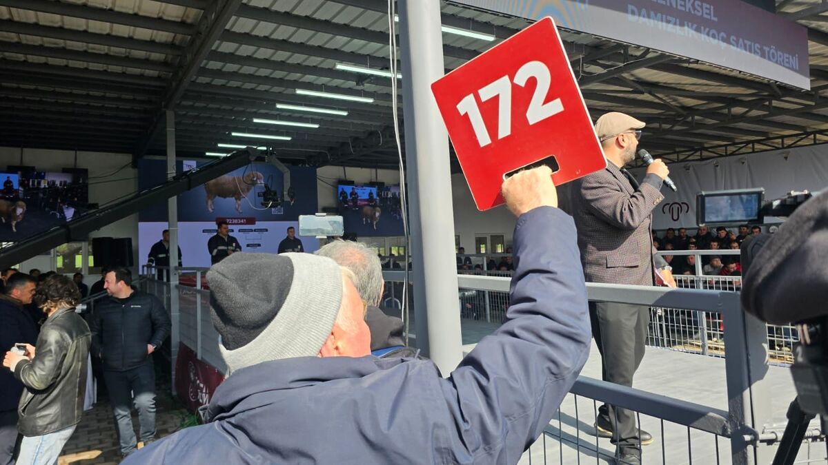 1 Milyon 110 Bin Liralık Koç AW669236 05 - Marmara Bölge Gazetesi