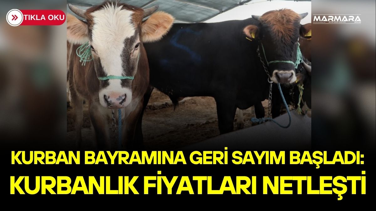 Kurban Bayramı öncesi kurbanlık fiyatları netleşirken, küçükbaş 45 bin TL’ye,