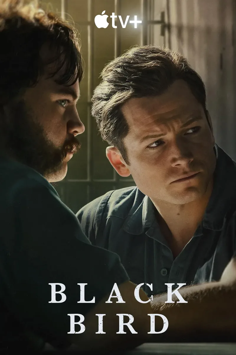 Black Bird - Marmara Bölge Gazetesi