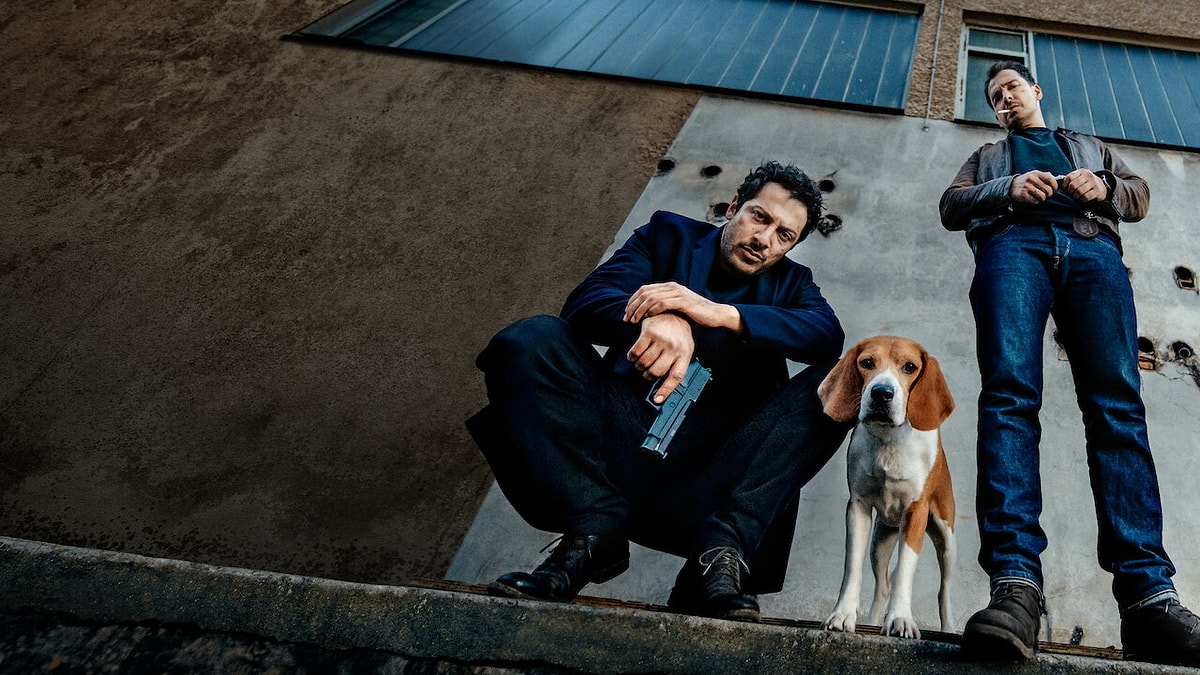Gerilimden Casusluğa En İddialı 6 Alman Dizisi Dogs of Berlin - Marmara Bölge Gazetesi