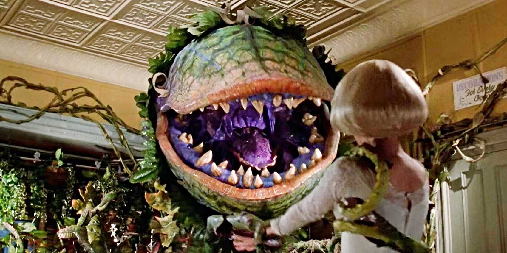 Little Shop of Horrors 1 - Marmara Bölge Gazetesi