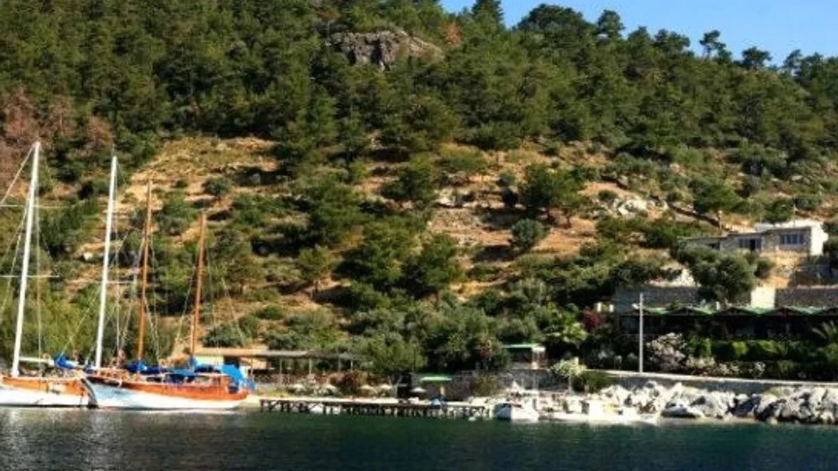 Mazi Koyu 2 - Marmara Bölge Gazetesi