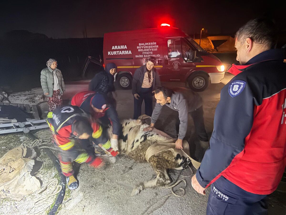 Kepsut’ta otladığı sırada açık bırakılan bir kuyuya düşen inek mahallede