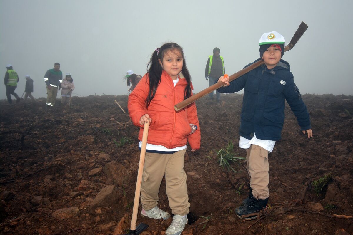 Balıkesir’de Nevruz Etkinliği WhatsApp Image 2026 03 24 at 15.22.08 - Marmara Bölge Gazetesi