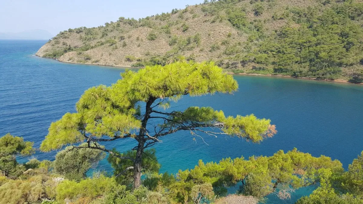 Muğla’nın Marmaris ilçesine bağlı Hisarönü bölgesinde yer alan Bördübet Koyu,