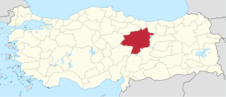 Sivas’ta yaşayan Hüseyin Yıldız, kayıp olan yavru kangalını bir Sibirya