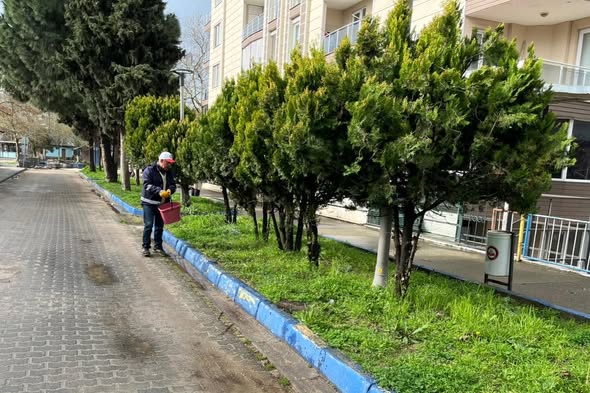 659117664 1535587285237140 4814610678174779592 n - Marmara Bölge Gazetesi