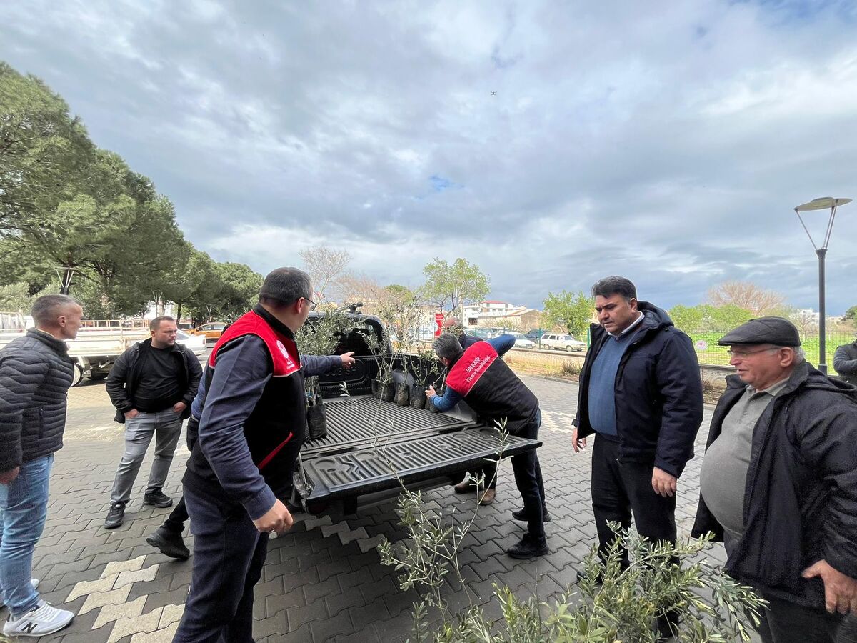 Havran’da Zeytin Fidanı Dağıtıldı 659384826 1265637972420283 6783496048913078703 n - Marmara Bölge Gazetesi