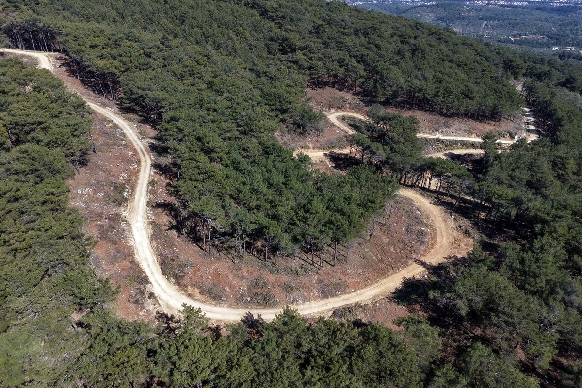 659740443 1408412717993729 2410806687174419446 n - Marmara Bölge Gazetesi
