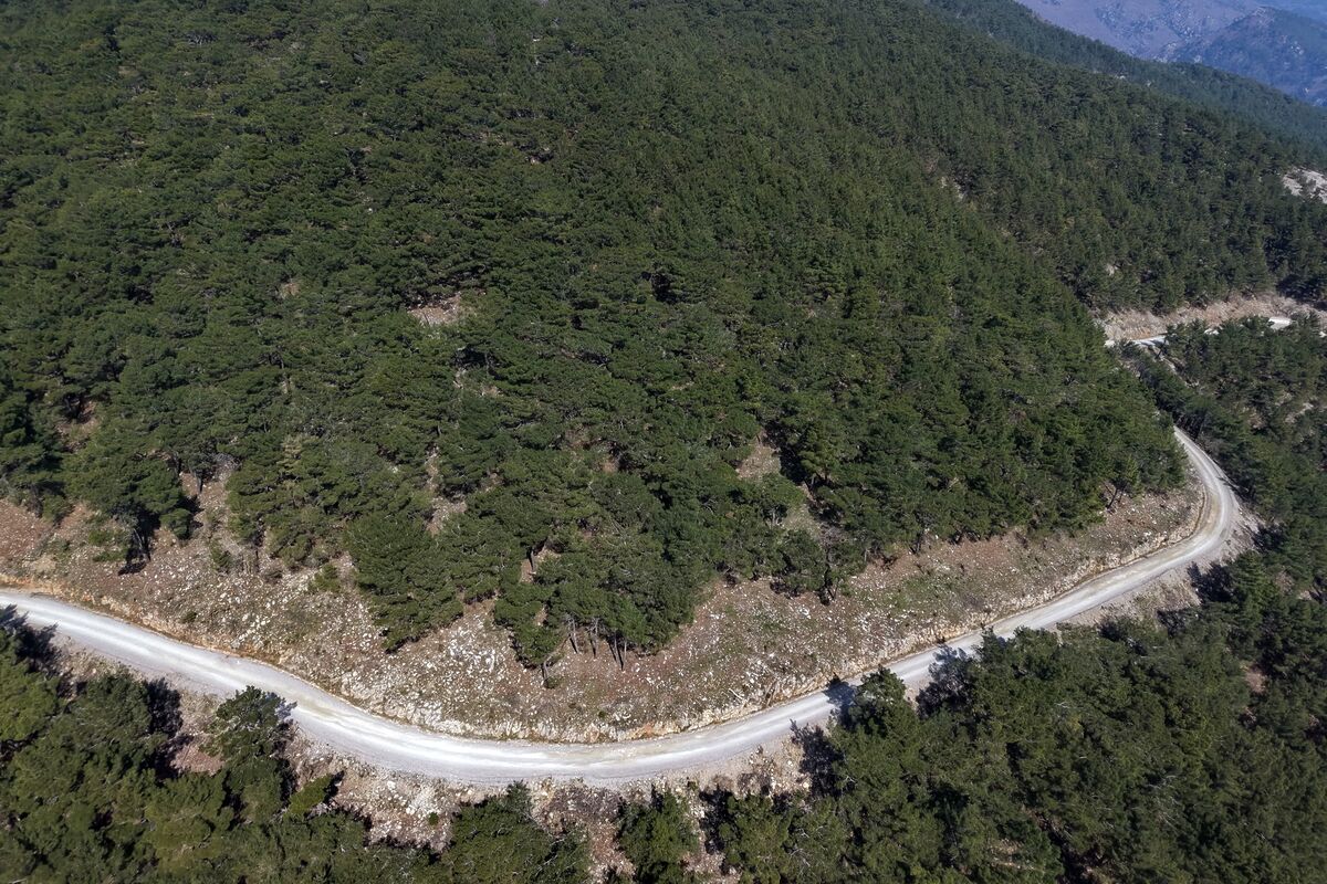 660539160 1408412691327065 4250330213075471703 n - Marmara Bölge Gazetesi