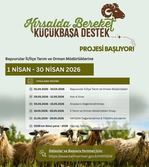 Küçükbaş Hayvan Desteği Başladı! 660632253 1353949520109240 5582636204112818530 n e1775123973577 - Marmara Bölge Gazetesi