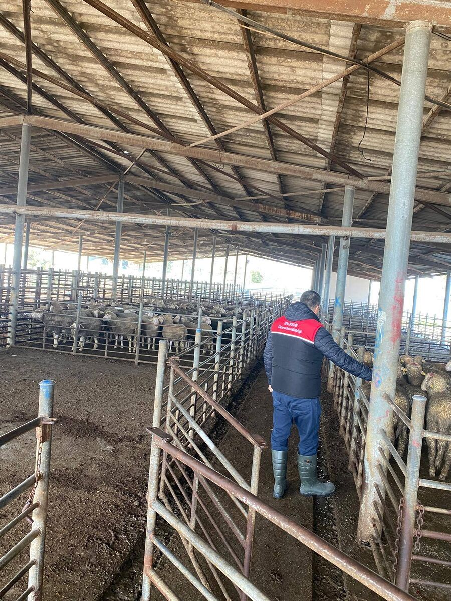 Kurban Bayramı Öncesi Altıeylül’de Alarm! 668316723 1267304502254350 8920287862570489221 n - Marmara Bölge Gazetesi