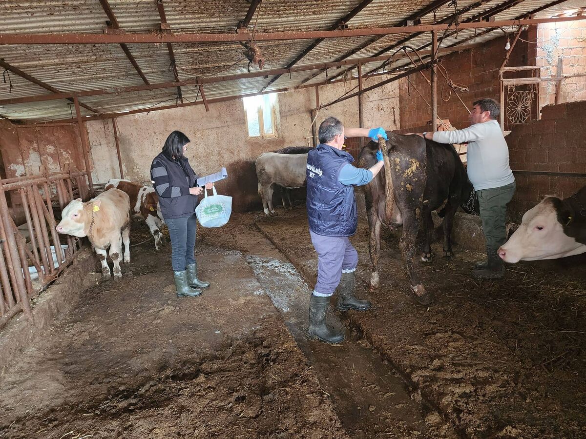 Kurban Bayramı Öncesi Altıeylül’de Alarm! 668775119 1267304688920998 5397715524627090536 n - Marmara Bölge Gazetesi