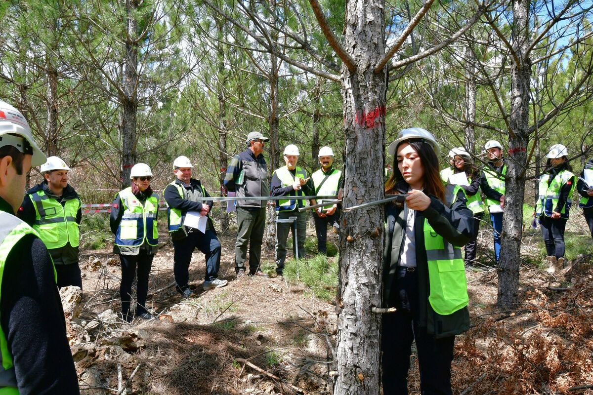 Balıkesir’de düzenlenen uygulamalı eğitimde genç orman mühendisleri, sahada tecrübeli bir