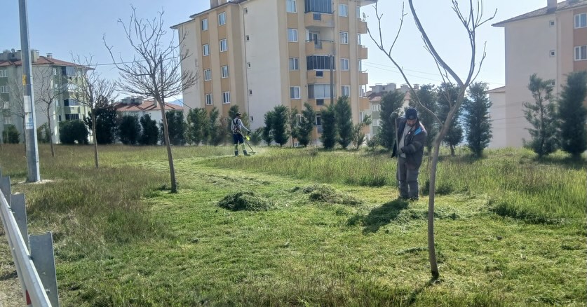 Parklarda Büyük Temizlik Seferberliği Başladı 671872063 18529286758079512 6199647074518340581 n - Marmara Bölge Gazetesi