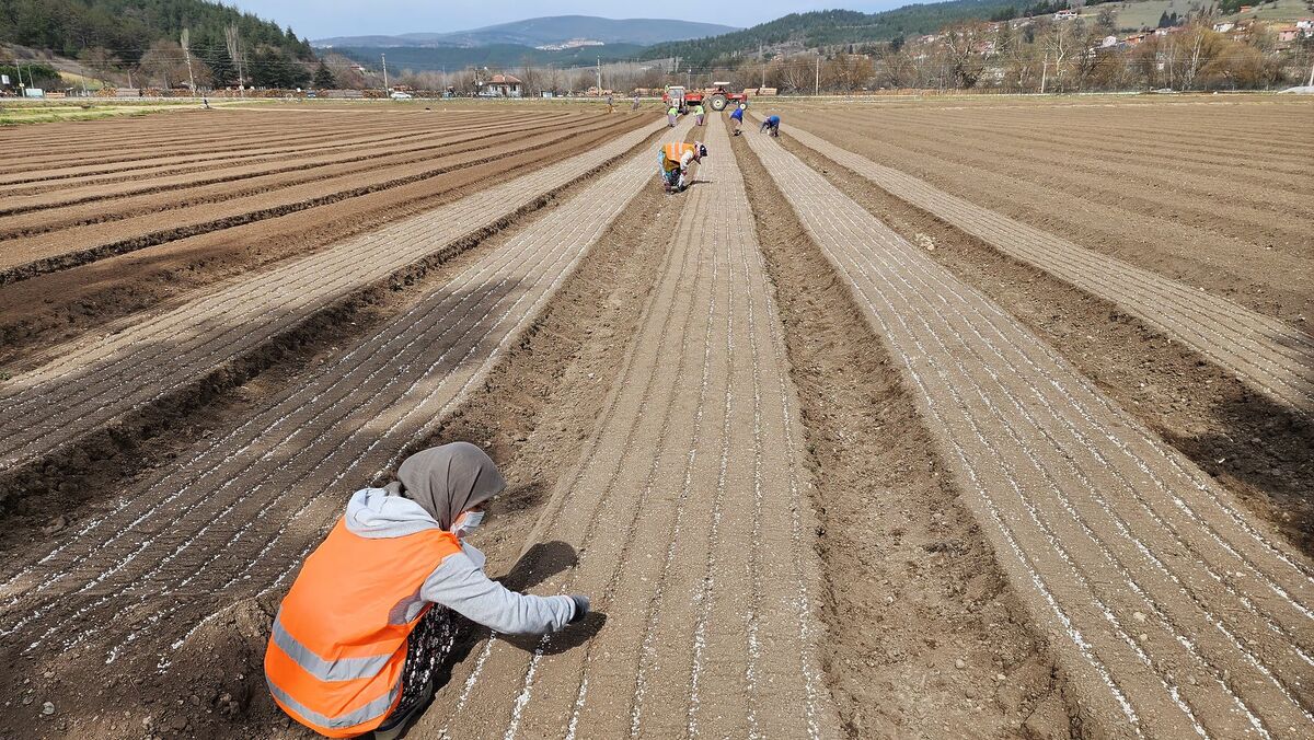673509676 1421259473375720 6547532217672097631 n - Marmara Bölge Gazetesi