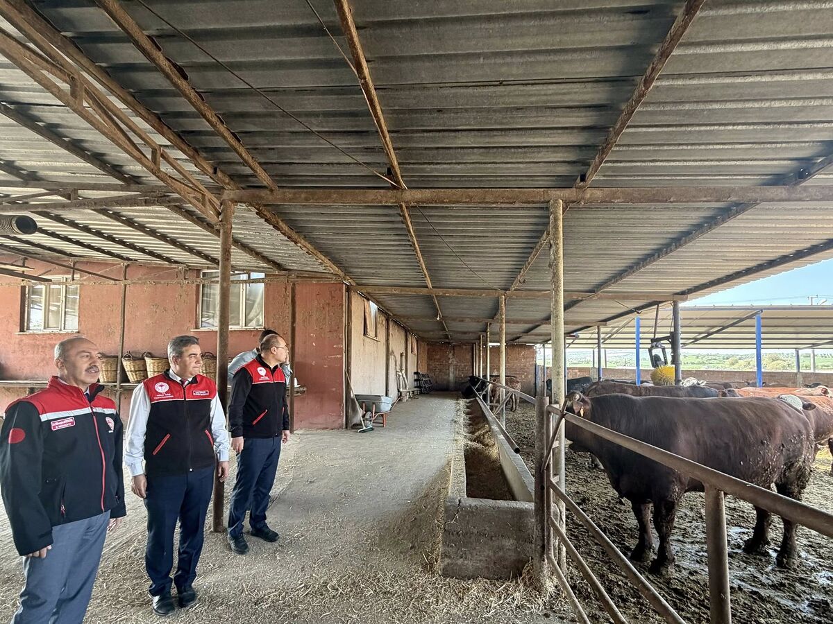 Kurban Bayramı Öncesi Balıkesir’de Ahırlara Denetim! 677095651 1369653265205532 4814665489835123264 n - Marmara Bölge Gazetesi