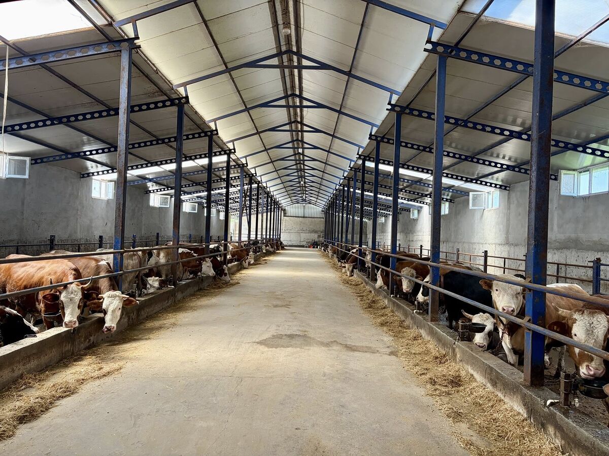 Kurban Bayramı Öncesi Balıkesir’de Ahırlara Denetim! 679180277 1369653548538837 8331031940590604682 n - Marmara Bölge Gazetesi